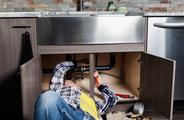 Best Local Plumber Services  in Homedale, ID